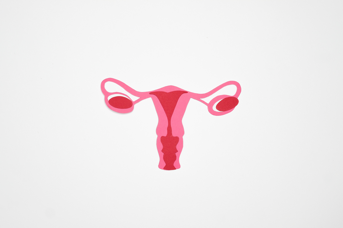 Como funcionam as mudanças do colo do útero?