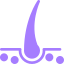 Alt image