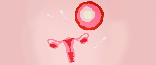 5 principais causas para a infertilidade feminina (e seus tratamentos)