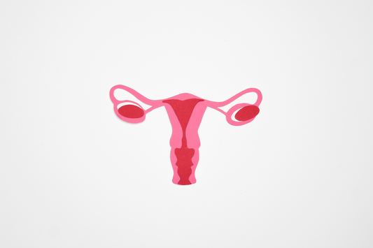 Como funcionam as mudanças do colo do útero?