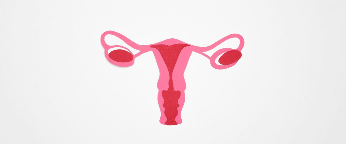 O que é Síndrome da Vagina Infinita? Saiba o que significa esse termo e a anatomia da vagina
