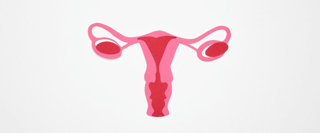 Quais são os tipos de útero e o que isso interfere na sua vida?