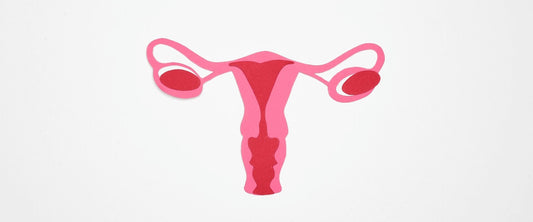 Quais são os tipos de útero e o que isso interfere na sua vida?