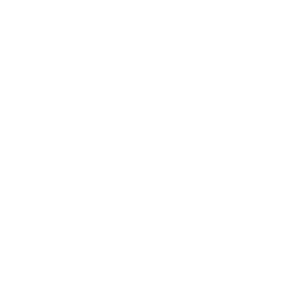 Droga Raia